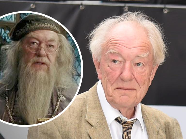 Remembering The Life Of Michael Gambon Best Known As Dumbledore In 