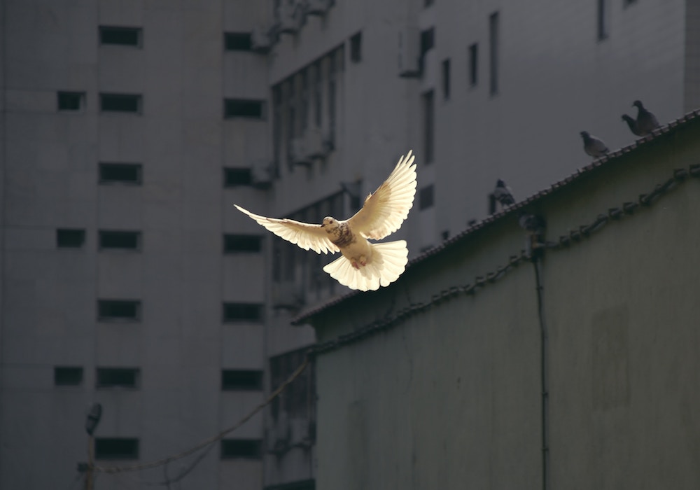 unsplash-logoSunyu