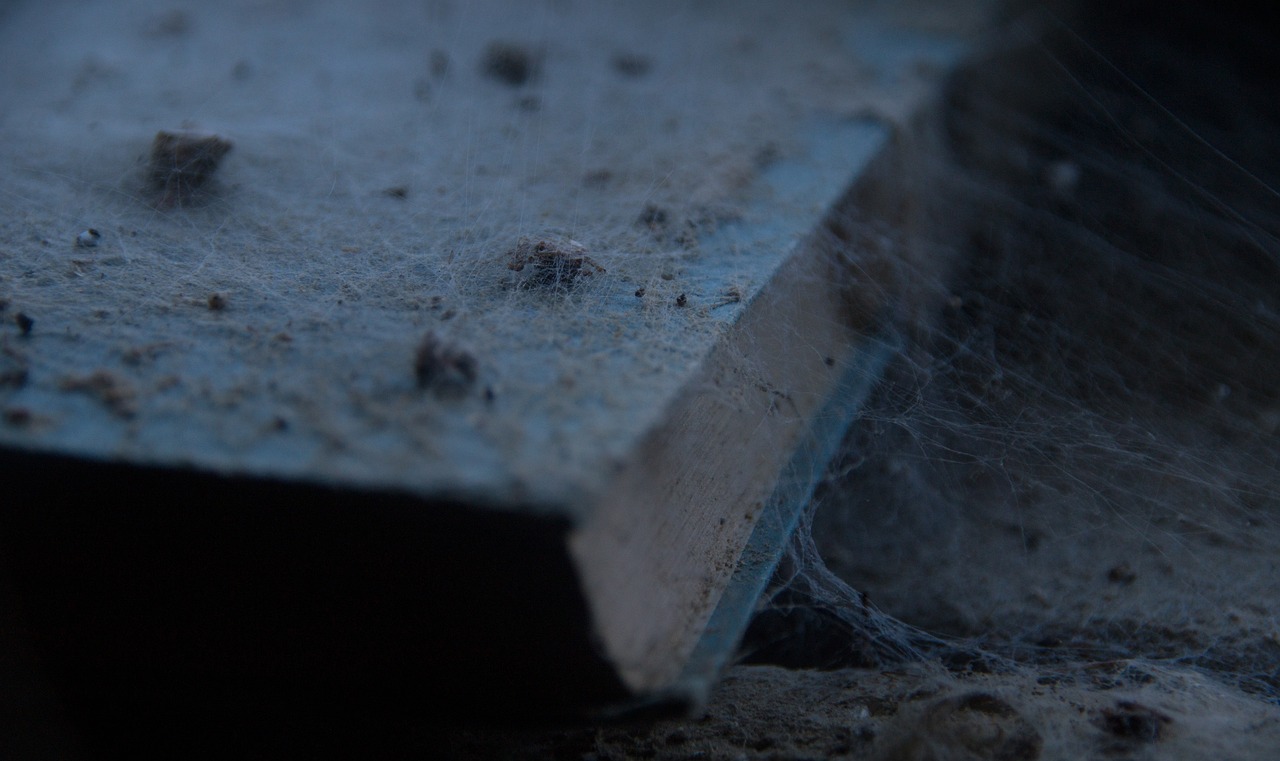 A Bible covered in dust, rubble, and cobwebs