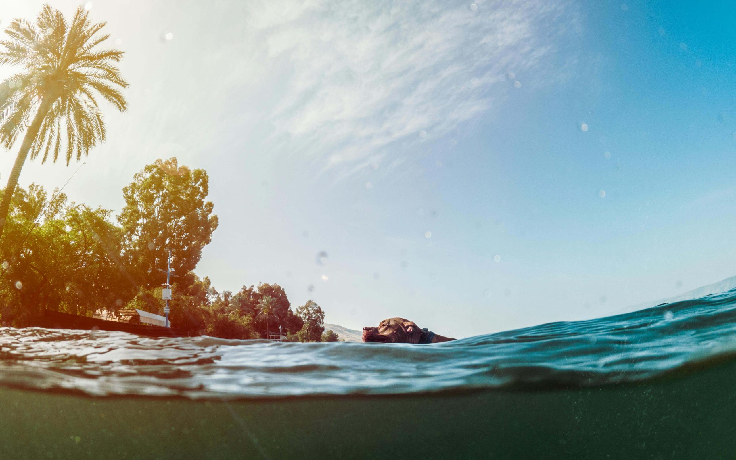 Inches below lake level at the Sea of Galilee