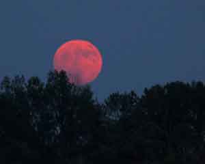 red-moon.jpg