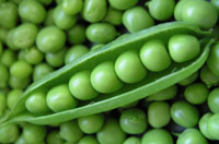 green-peas-op.jpg