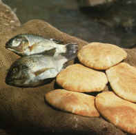 Loaves fishes tilapia002.jpg