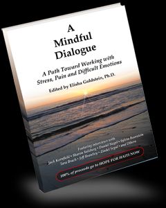 mindfulness book.jpg