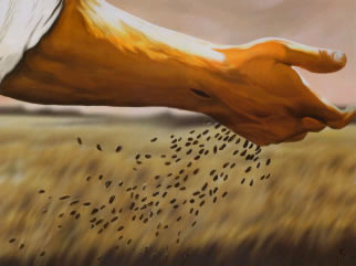 parable of the sower.jpg