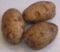 potatoes, small.jpg