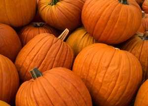 pumpkins2.jpg