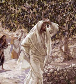 Jesus walking 1 INSIDE.jpg