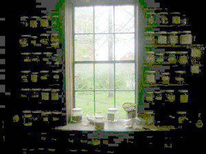- Wanda - window of herbs