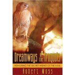 Dreamways of the Iroquois