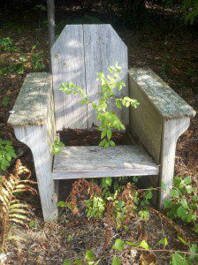 - throne Rye NH