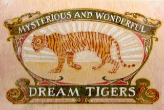 Dreamtiger.jpg