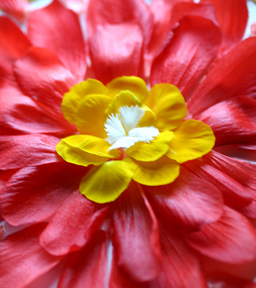 turkscap_pansy_dianthus2_web.jpg