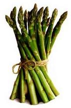 asparagus_2.jpg