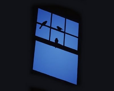 bluemorningwindow.jpg