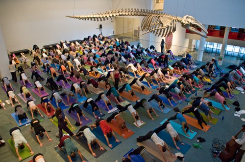 yoga at the moma