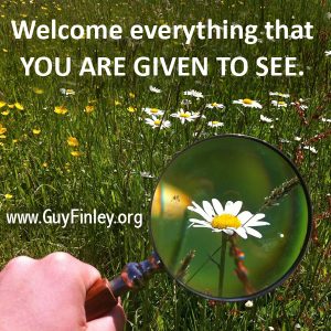 hand with flower in magnifying glass